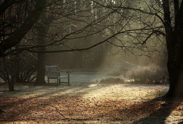 Autumn Magic by Deb Oppermann